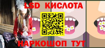 стаф Можга