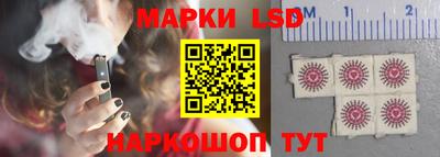 стаф Можга