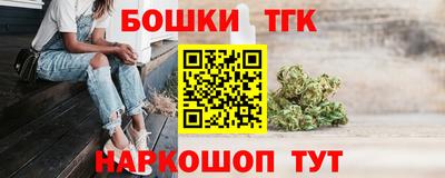 стаф Можга