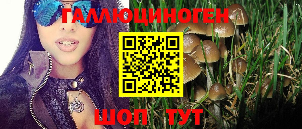 Галлюциногенные грибы ЛСД  Псилоцибиновые грибы Psilocybine cubensis  Долгопрудный  Вход с VPN 