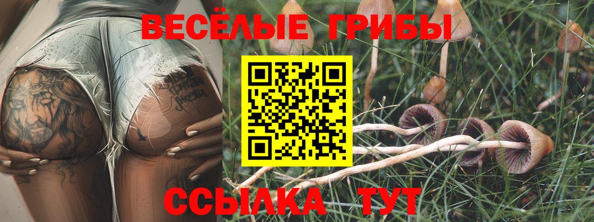 Псилоцибиновые грибы Cubensis Долгопрудный